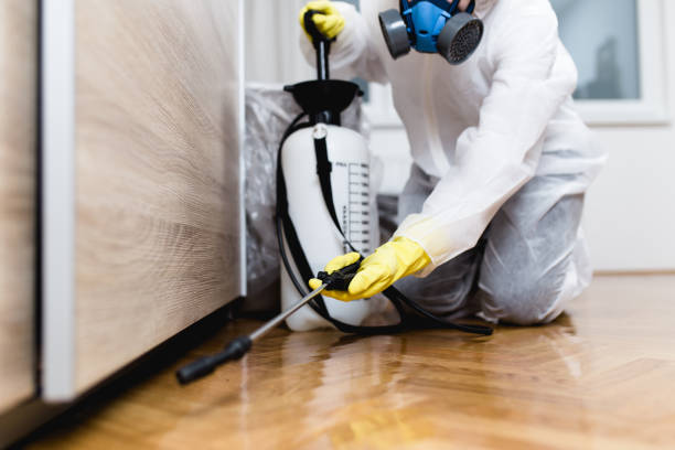 Best Mosquito Control Services  in Ricardo, TX