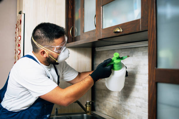 Best Best Pest Control Companies  in Ricardo, TX
