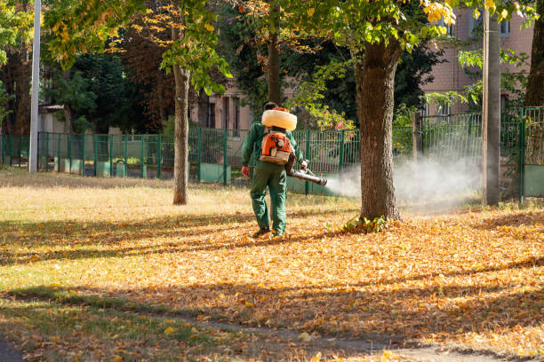 Best Pest Prevention Services  in Ricardo, TX
